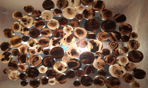 Buffalo Horn & Bone Button Blanks